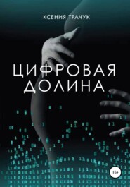 бесплатно читать книгу Цифровая долина автора Ксения Трачук