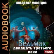 бесплатно читать книгу Ведьмак двадцать третьего века автора Владимир Мясоедов