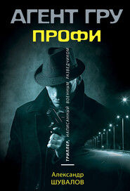 бесплатно читать книгу Профи автора Александр Шувалов