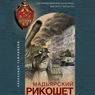 бесплатно читать книгу Мадьярский рикошет автора Александр Тамоников