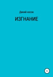 бесплатно читать книгу Изгнание автора  Дикий Носок