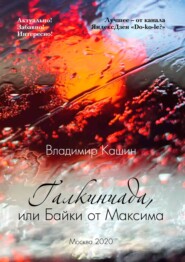 бесплатно читать книгу Галкиниада, или Байки от Максима автора Владимир Кашин