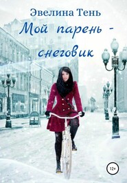 бесплатно читать книгу Мой парень – снеговик автора Эвелина Тень