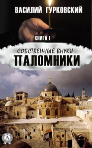 бесплатно читать книгу Паломники автора Василий Гурковский