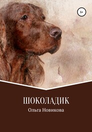 бесплатно читать книгу Шоколадик автора Ольга Новикова