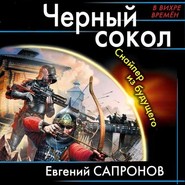 бесплатно читать книгу Черный сокол. Снайпер из будущего автора Евгений Сапронов