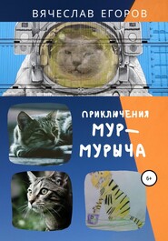 бесплатно читать книгу Приключения Мур-Мурыча автора Вячеслав Егоров