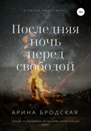 бесплатно читать книгу Последняя ночь перед свободой автора Арина Бродская