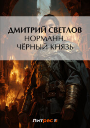 бесплатно читать книгу Норманн. Чёрный князь автора Дмитрий Светлов