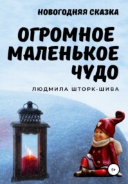 бесплатно читать книгу Огромное маленькое чудо автора Людмила Шторк-Шива