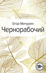 бесплатно читать книгу Чернорабочий автора Егор Мичурин