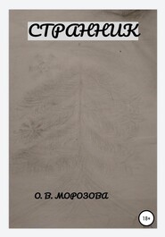 бесплатно читать книгу Странник автора Ольга Морозова