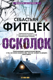 бесплатно читать книгу Осколок автора Себастьян Фитцек