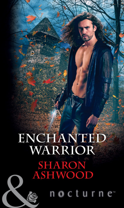 Enchanted Warrior