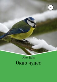бесплатно читать книгу Окно чудес автора Alex Rais