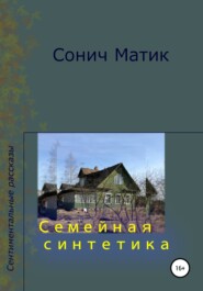 бесплатно читать книгу Семейная синтетика автора Сонич Матик