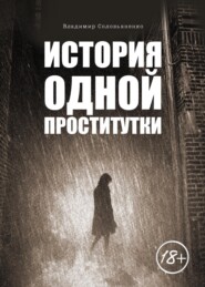 бесплатно читать книгу История одной проститутки автора Владимир Соловьяненко