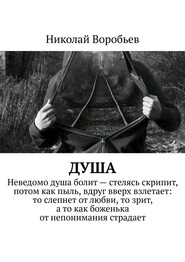бесплатно читать книгу Душа автора Николай Воробьев