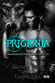 бесплатно читать книгу Prigionia автора Brenda Trim