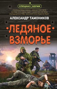 бесплатно читать книгу Ледяное взморье автора Александр Тамоников