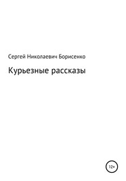 бесплатно читать книгу Курьезные рассказы автора Сергей Борисенко