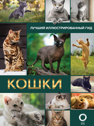 бесплатно читать книгу Кошки автора Николай Непомнящий