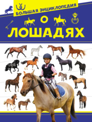 бесплатно читать книгу Большая энциклопедия о лошадях автора Анна Спектор