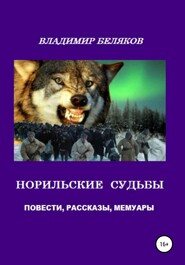 бесплатно читать книгу Норильские судьбы автора Владимир Беляков