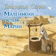 бесплатно читать книгу Маленький ослик Марии автора Гунхильд Селин