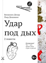 бесплатно читать книгу Удар под дых. Две повести автора Бенжамен Демар