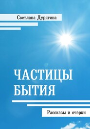 бесплатно читать книгу Частицы бытия автора Светлана Дурягина