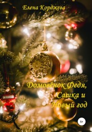 бесплатно читать книгу Домовенок Федя, Сашка и Новый год автора Елена Корджева