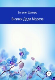 бесплатно читать книгу Внучки Деда Мороза автора Евгения Шапиро