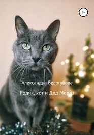бесплатно читать книгу Родик, кот и Дед Мороз автора Александра Белогубова