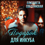 бесплатно читать книгу Подарок для инкуба автора Елизавета Соболянская