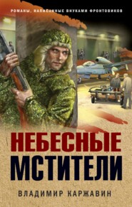 бесплатно читать книгу Небесные мстители автора Владимир Каржавин
