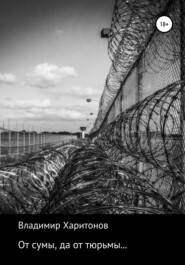 бесплатно читать книгу От сумы, да от тюрьмы автора Владимир Харитонов