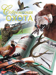 бесплатно читать книгу Современная охота автора Дарья Нестерова