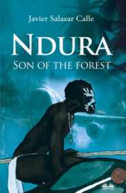 бесплатно читать книгу Ndura. Son Of The Forest автора Javier Salazar Calle