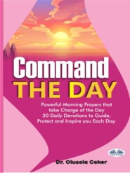 бесплатно читать книгу Command The Day автора Olusola Coker
