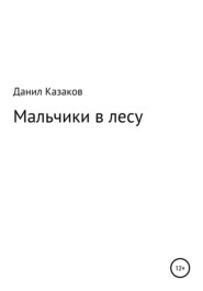бесплатно читать книгу Мальчики заблудились автора Данил Казаков
