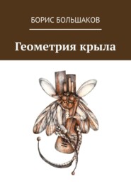 бесплатно читать книгу Геометрия крыла автора Борис Большаков