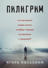бесплатно читать книгу Пилигрим: дневники начала конца света автора Игорь Польский