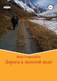 бесплатно читать книгу Дорога к золотой воде автора Иван Стародубов