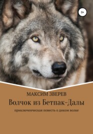 бесплатно читать книгу Волчок из Бетпак-Далы автора Максим Зверев
