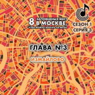 бесплатно читать книгу 8 заповедных мест в Москве, куда можно доехать на метро. Глава 3. Измайлово автора Андрей Монамс