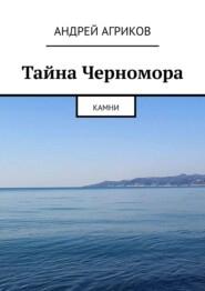 бесплатно читать книгу Тайна Черномора. Камни автора Андрей Агриков