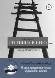 бесплатно читать книгу Лестница в небо автора Тимур Файзуллин