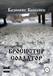 бесплатно читать книгу Бросистер Солдатор автора Базилевс Башляев