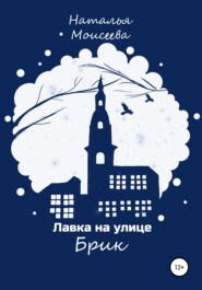 бесплатно читать книгу Лавка на улице Брик автора Наталья Моисеева